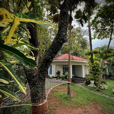 Paddle Cult Hotel Varkala Kültér fotó