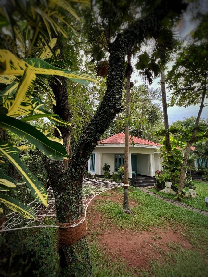 Paddle Cult Hotel Varkala Kültér fotó